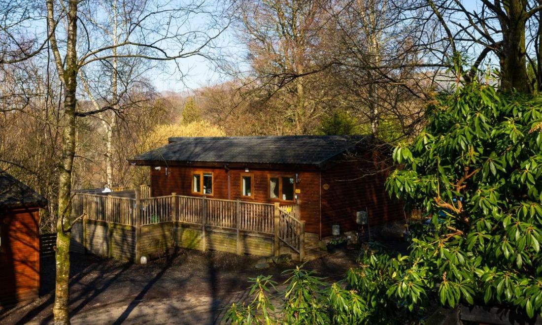 Owls House, White Cross Bay, Ambleside, Уиндермер Екстериор снимка